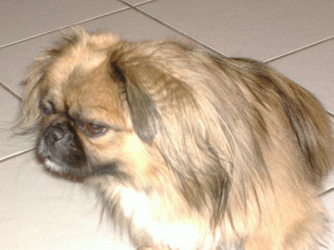 DSCF0612