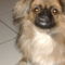 DSCF0613