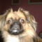 DSCF0662