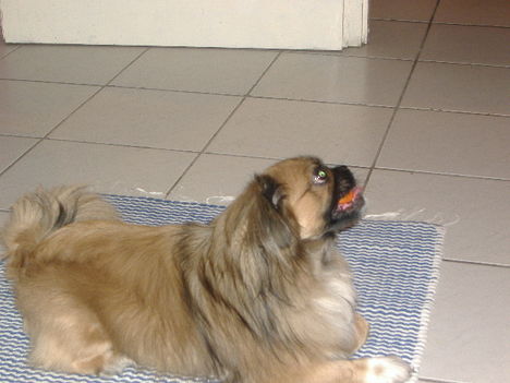 DSCF1427