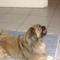 DSCF1427
