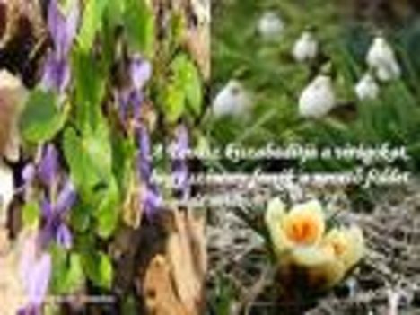 images14
