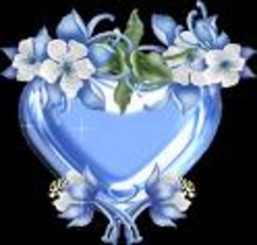 images15