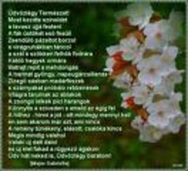 images17