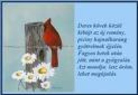 images7