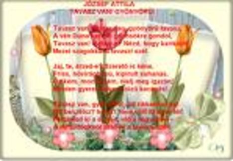 images8