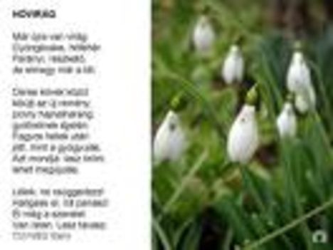 images9