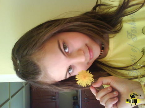 kutyatejjeCSkee.