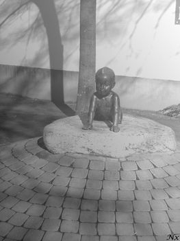 Makó (11)