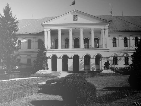 Makó (13)