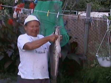 Margó 