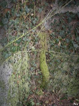 N46