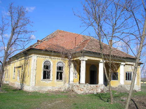 Nicsovics kastély (1)