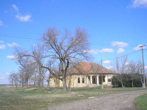 Nicsovics kastély