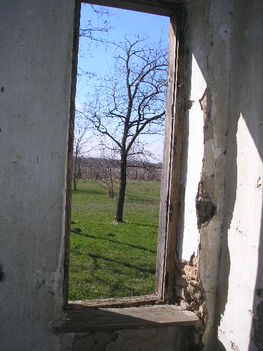 Nicsovics kastély (6)