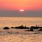 Umag