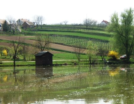 Horgász tó 2009