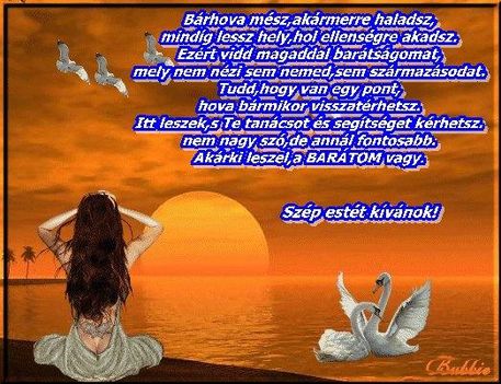 bárhova mész