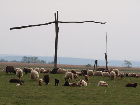 Békés nyugalom