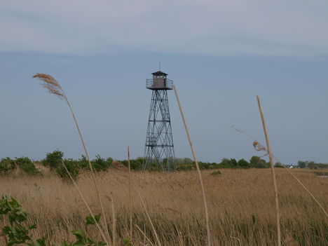 Kilátó a pusztán