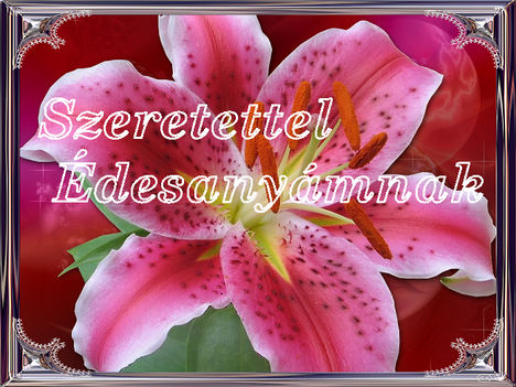 szeretettel