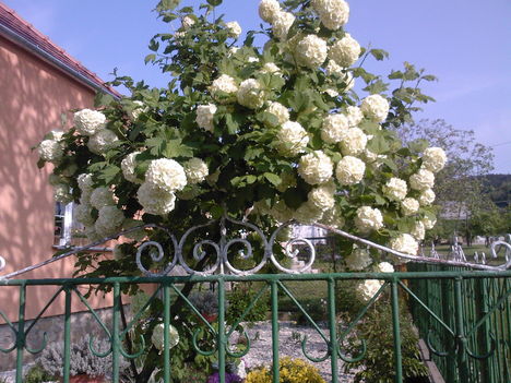 2009.04.30