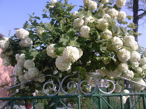 2009.04.30