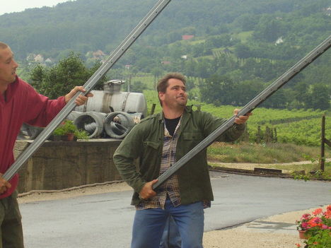 Májusfa kivétel 2008 Papp Ancinál