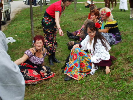 Szüreti felvonulás 2007