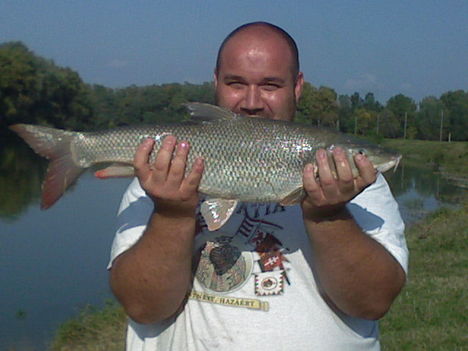 Zoltán 