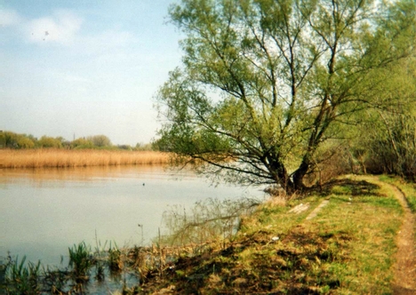 Kis-Duna partja