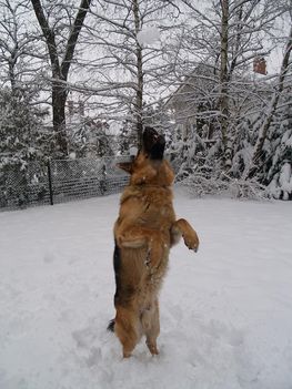 Marko 1 mindig csak a játék