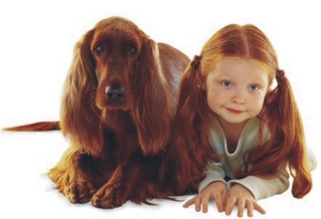 kutya és kislány