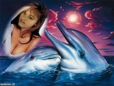 delfin szerelem