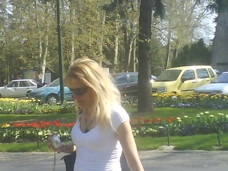 DSC00820