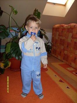 Patrik