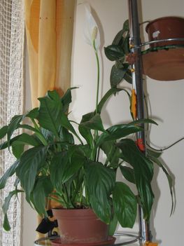 vegyes képrk 001
