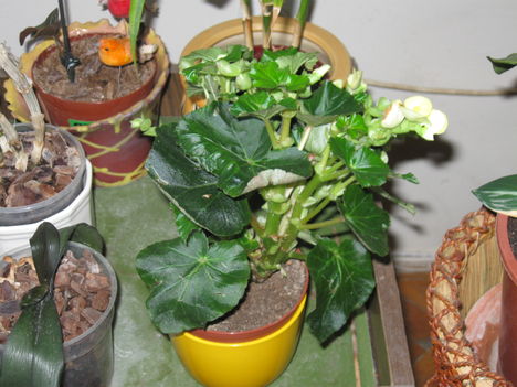 vegyes képrk 003