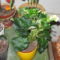 vegyes képrk 003