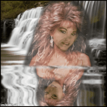 vizes