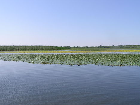 Tisza-tó 14