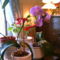2006-02-18-mina blommor