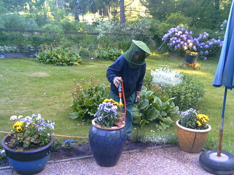 2006-06 -15-az én kis kertészem igy védekezik a szúnyogok ellen