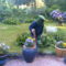 2006-06 -15-az én kis kertészem igy védekezik a szúnyogok ellen