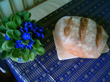 2007-05-11-csendélet a konyhában