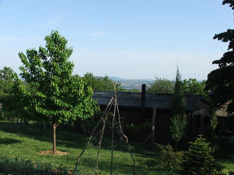 DSCF2928