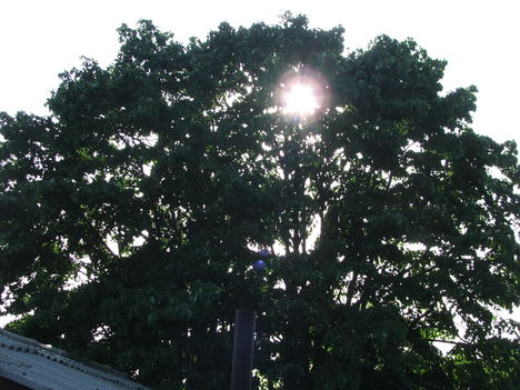 DSCF2937