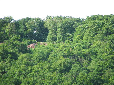 DSCF2949