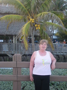 florida 09 044