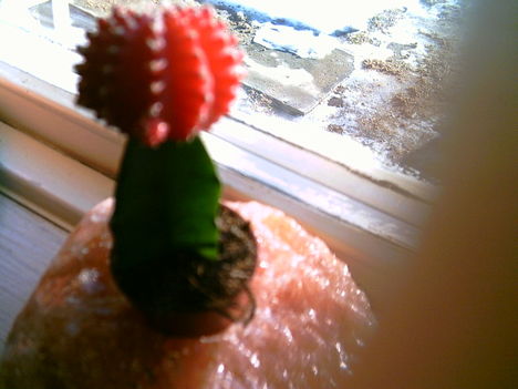 PICT0004